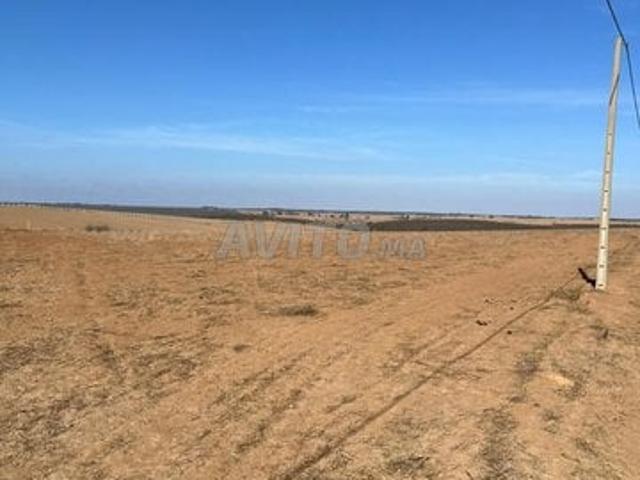 Propriété vente à Sidi Bettach, Gharb-Chrarda-Beni Hssen