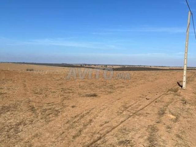 Propriété vente à Sidi Bettach, Gharb-Chrarda-Beni Hssen