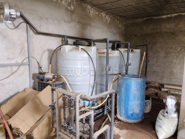 Ferme vente