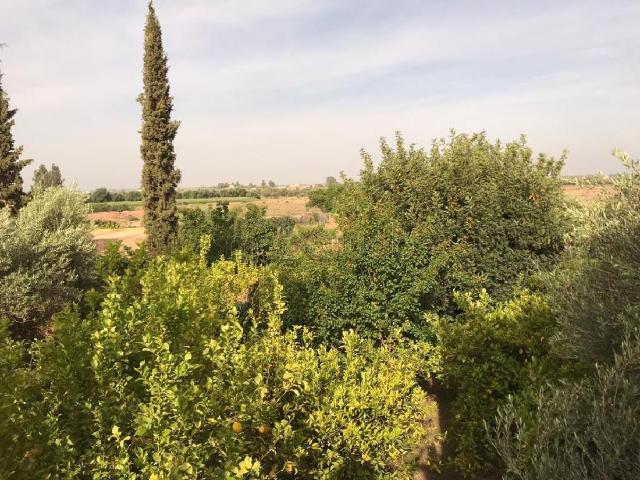 Terrain vente à Marrakech, L'Oriental