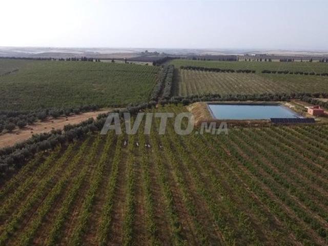 Propriété vente à Mellal