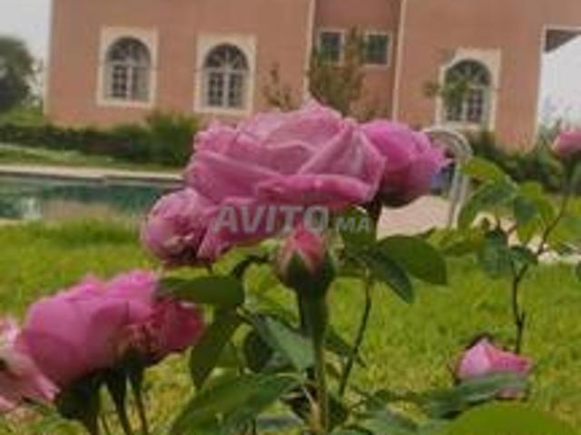 Propriété vente à L'Oriental