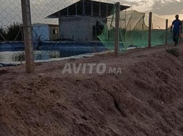 Propriété vente à Oujda, L'Oriental