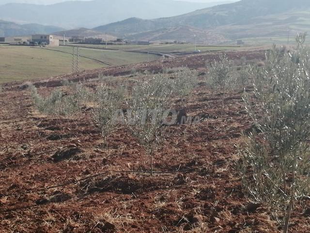 Propriété vente à Ourika أوريكة, Province d'Al Haouz ⵜⴰⵙⴳⴰ ⵏ ⵍⵃⵓⵣ إقليم الحوز
