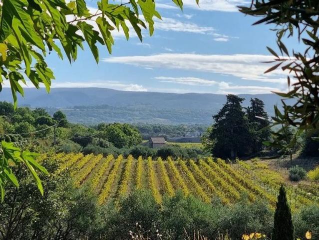 Ferme vente à Avignon