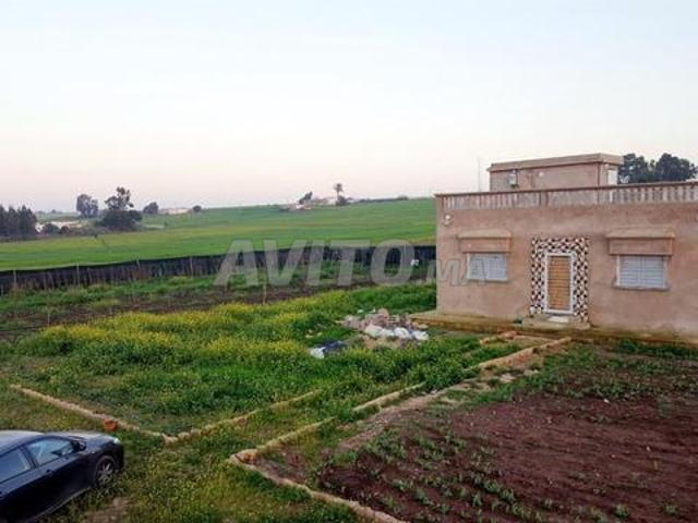 Propriété vente à El Ma, Gharb-Chrarda-Beni Hssen