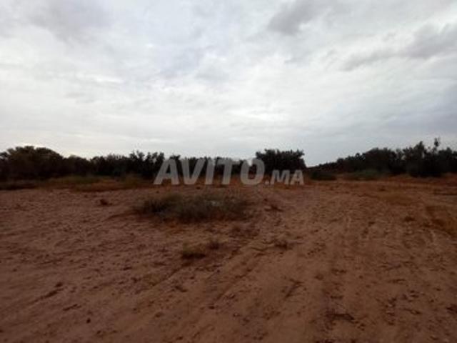 Propriété location à L'Oriental