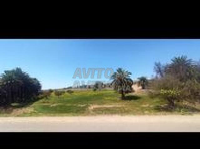 Propriété vente à Ras El Ain, L'Oriental