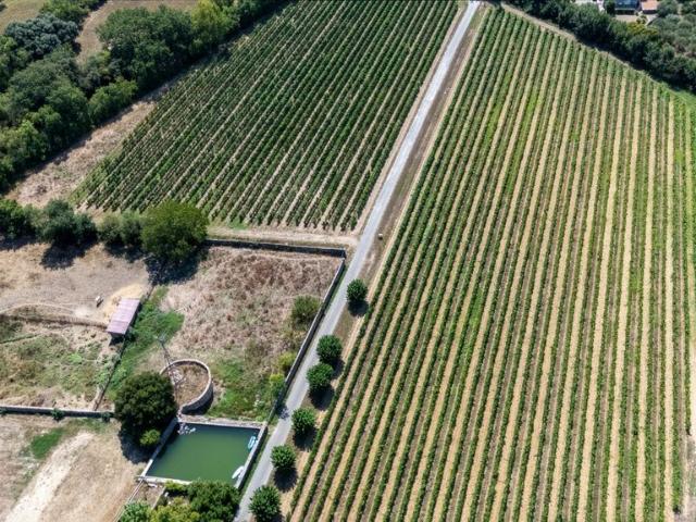 Ferme vente à Aspères, Gard