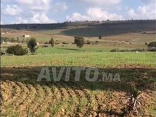 Propriété vente à Slimane, Gharb-Chrarda-Beni Hssen