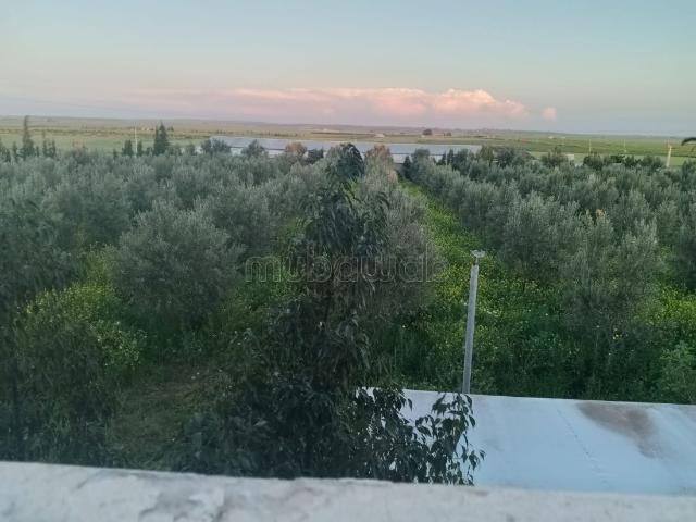 Ferme vente à Oulad Said, Gharb-Chrarda-Beni Hssen