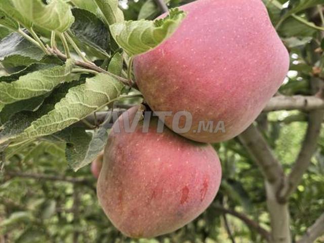 Propriété vente à Ifrane