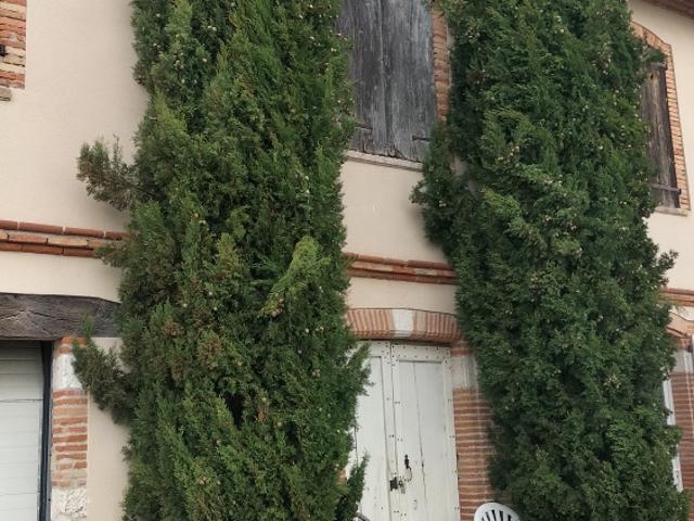 Ferme vente à Albi, Lisle-sur-tarn