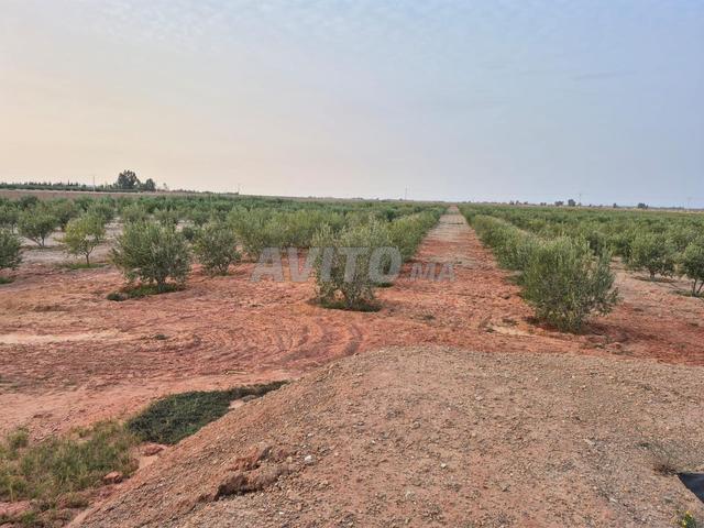 Propriété vente à Gueliz, Marrakech