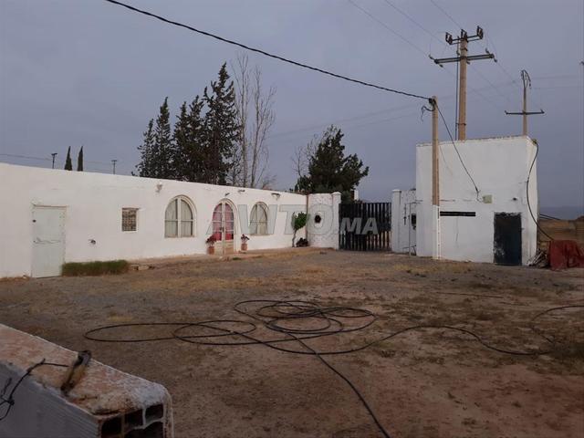 Propriété vente à Guercif جرسيف, Province de Guercif إقليم جرسيف