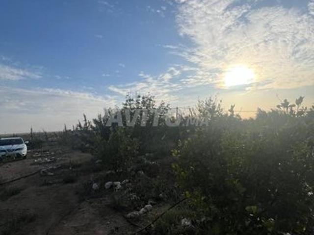 Propriété vente à Tamansourt, L'Oriental