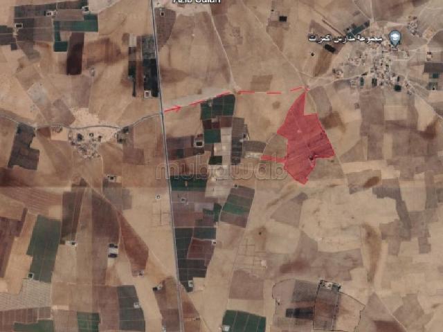 Ferme vente à Marrakech, L'Oriental