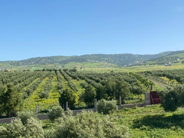 Ferme vente à Fès