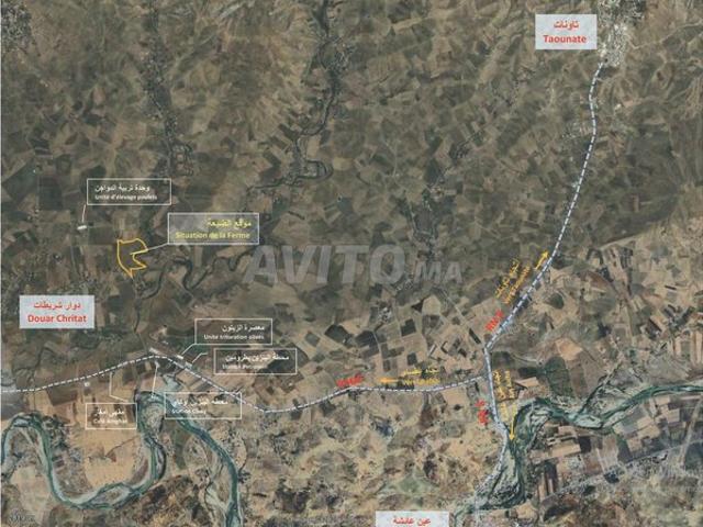 Propriété vente à Taounate