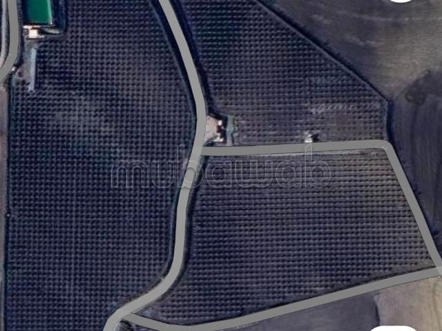 Ferme vente à Fès