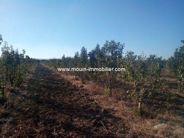 Ferme vente à Borj El Amri