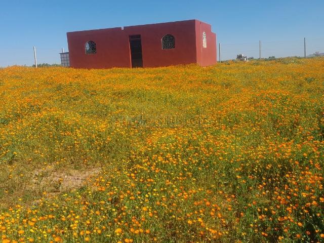 Ferme vente à Settat, Gharb-Chrarda-Beni Hssen