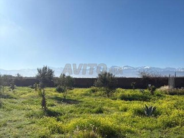 Propriété vente à Al Haouz, L'Oriental