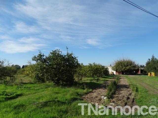 Terrain vente
