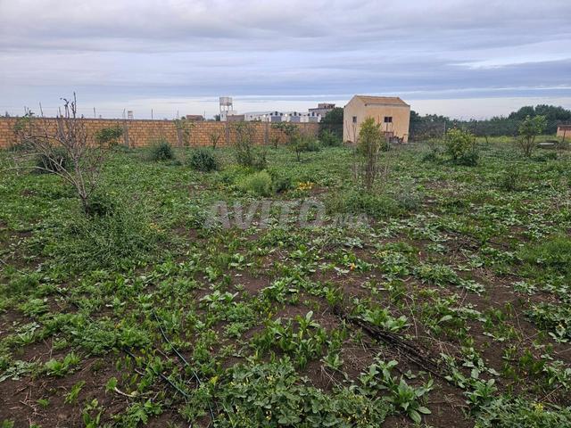 Propriété vente à Slimane, Gharb-Chrarda-Beni Hssen