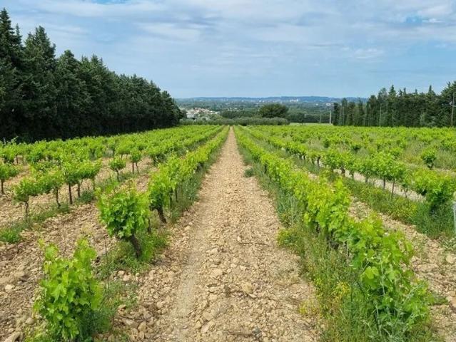Ferme vente à Avignon
