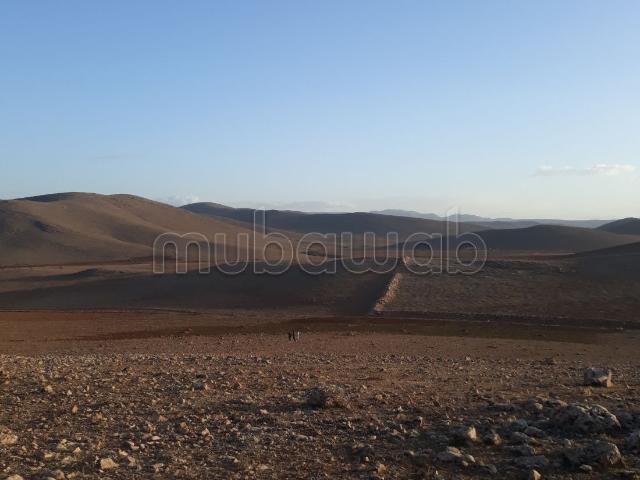 Terrain vente