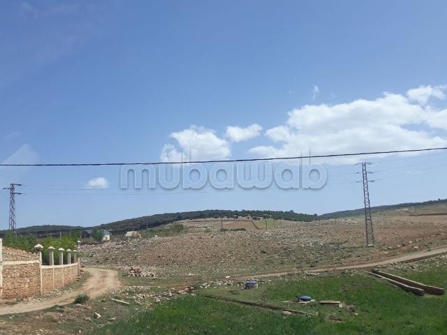 Terrain vente à Ifrane