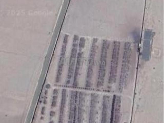 Propriété vente à Oued ed Dahab-Lagouira