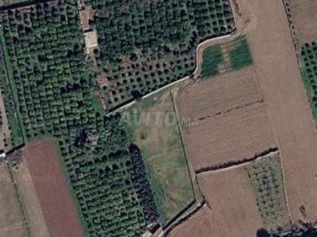 Propriété vente à Agadir, Oued ed Dahab-Lagouira