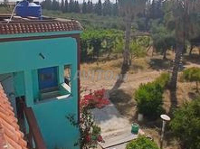 Propriété vente à Saf, L'Oriental