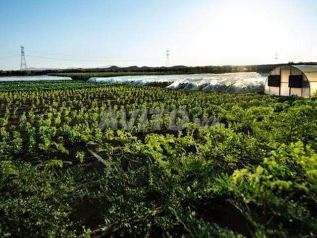Propriété vente à Meknès