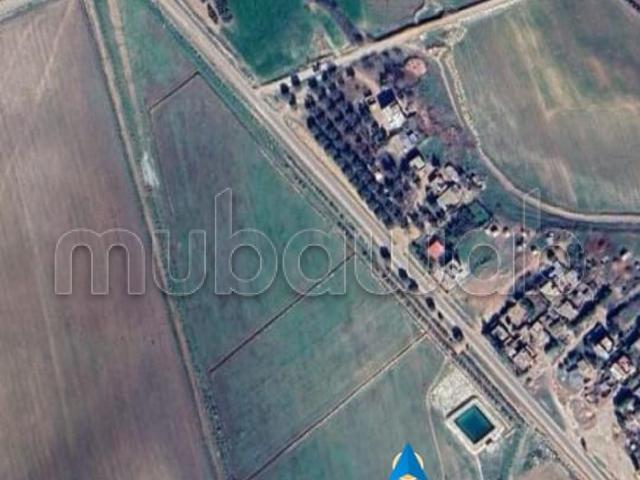 Ferme vente à El Hajeb