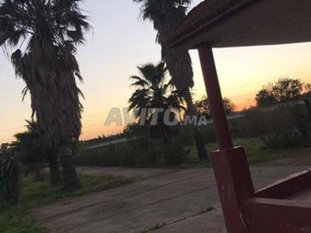 Propriété vente à Slimane, Gharb-Chrarda-Beni Hssen