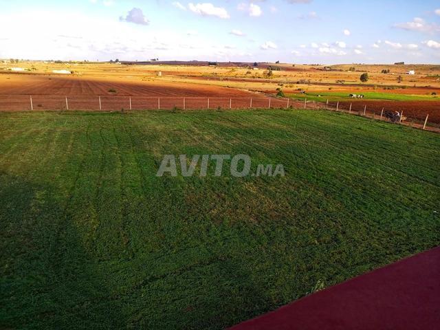 Propriété vente à Anfa, Gharb-Chrarda-Beni Hssen