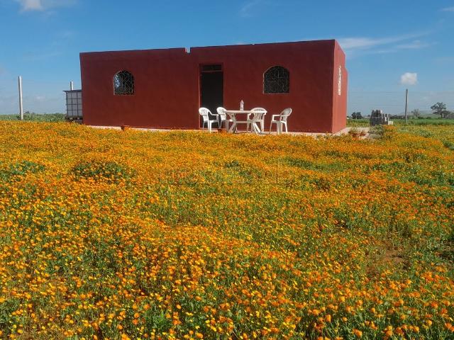 Ferme vente à Sidi El Aïdi, Gharb-Chrarda-Beni Hssen