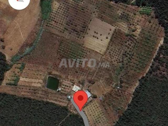 Propriété vente à Larache, Tanger-Tétouan