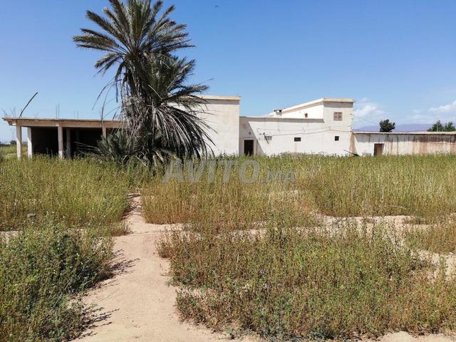Propriété vente à Ouled Teima ⴰⵡⵍⴰⴷ ⵜⴰⵢⵎⴰ أولاد تايمة, Province de Taroudant ⵜⴰⵙⴳⴰ ⵏ ⵜⴰⵔⵓⴷⴰⵏⵜ إقليم تارودانت