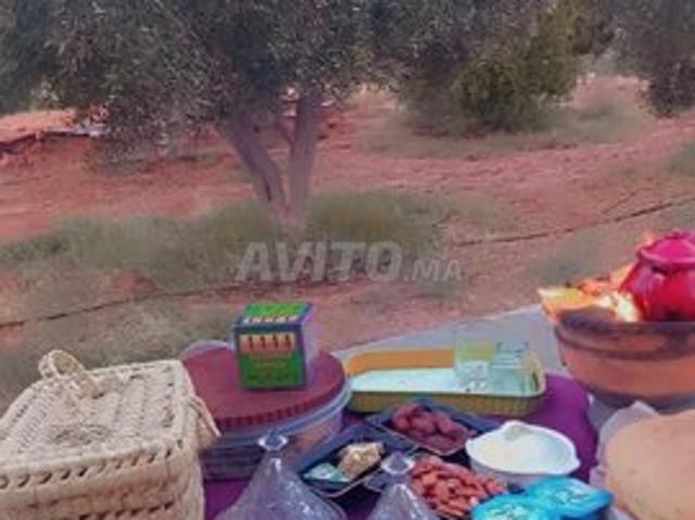 Propriété vente à Guelmim, Guelmim-Es Semara