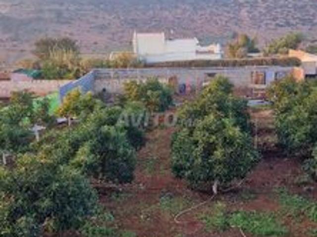 Propriété vente à Tamesna