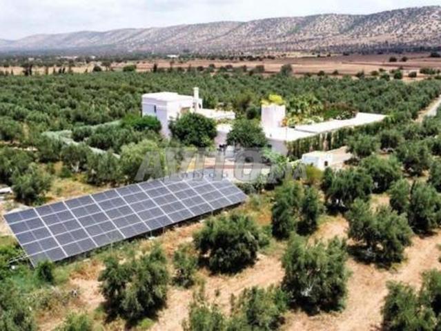 Propriété vente à Moulay Bousselham
