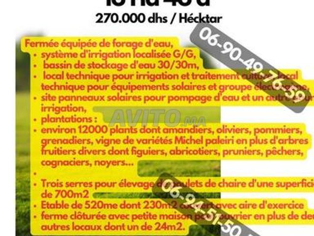 Propriété vente à Ben Slimane