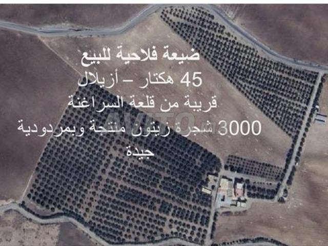Propriété vente à Azilal