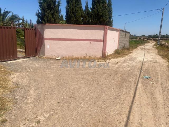 Propriété vente à Saf, L'Oriental