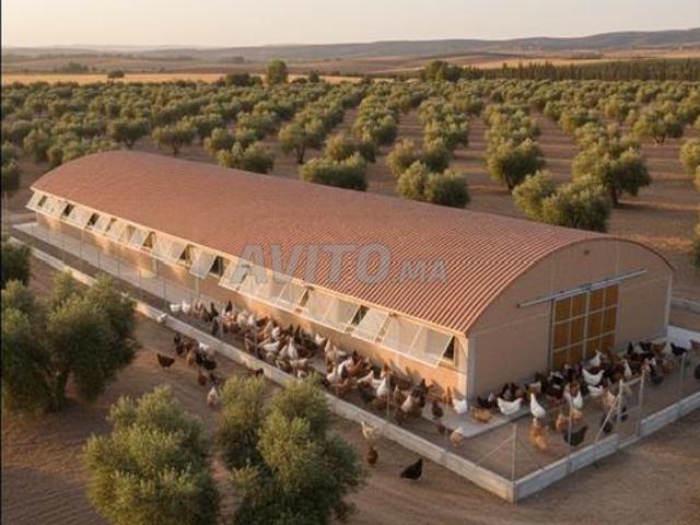 Propriété vente à Mellal