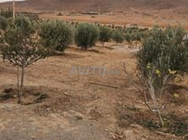 Propriété vente à Ben Slimane